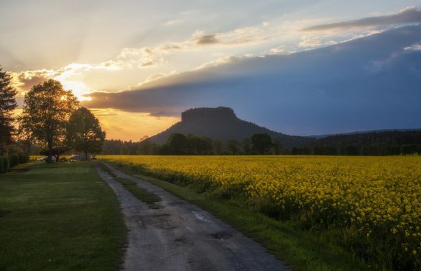 Blick auf Lilienstein von Gohrisch