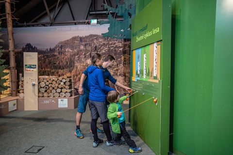 Eine Familie an einer interaktiven Station im NationalparkZentrum Bad Schandau