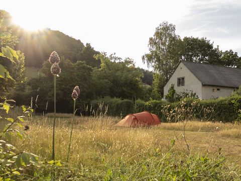 Zeltwiese am Hinterland Hostel in Kurort Rathen mit einem orangefarbenen Zelt im Sonnenlicht.